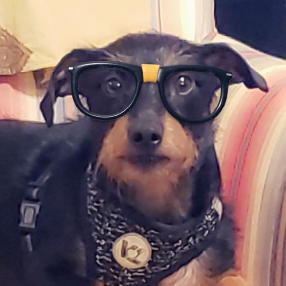 Meet your Posher, Amanda - Picture 3 of 11